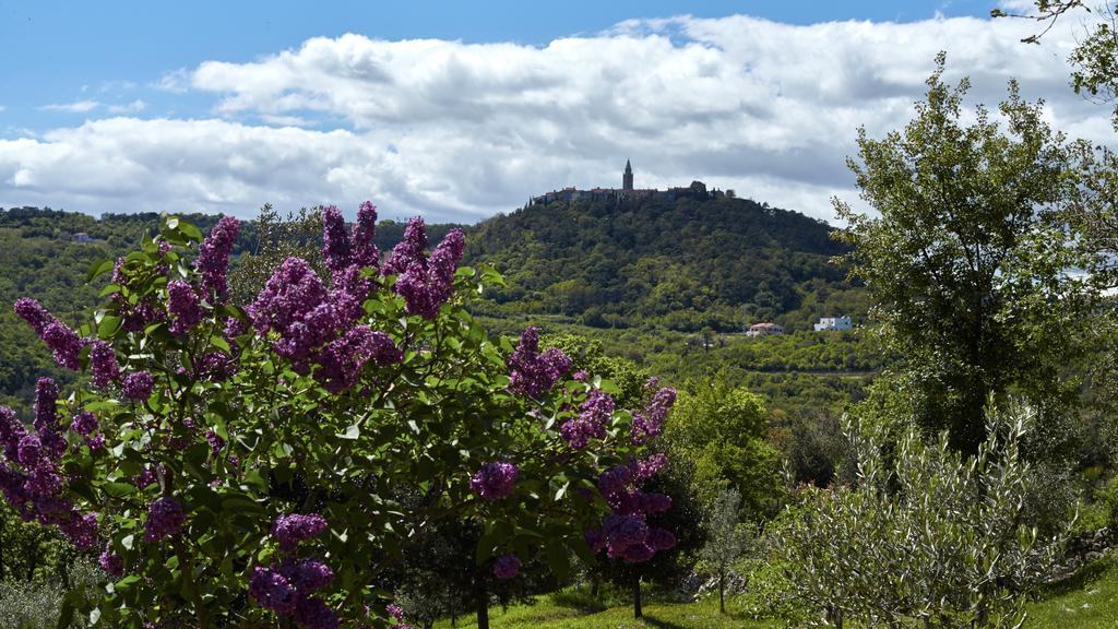 Villa Vires Labin  Eksteriør bilde